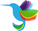 Web dizajn studio