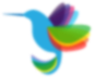 Web dizajn studio